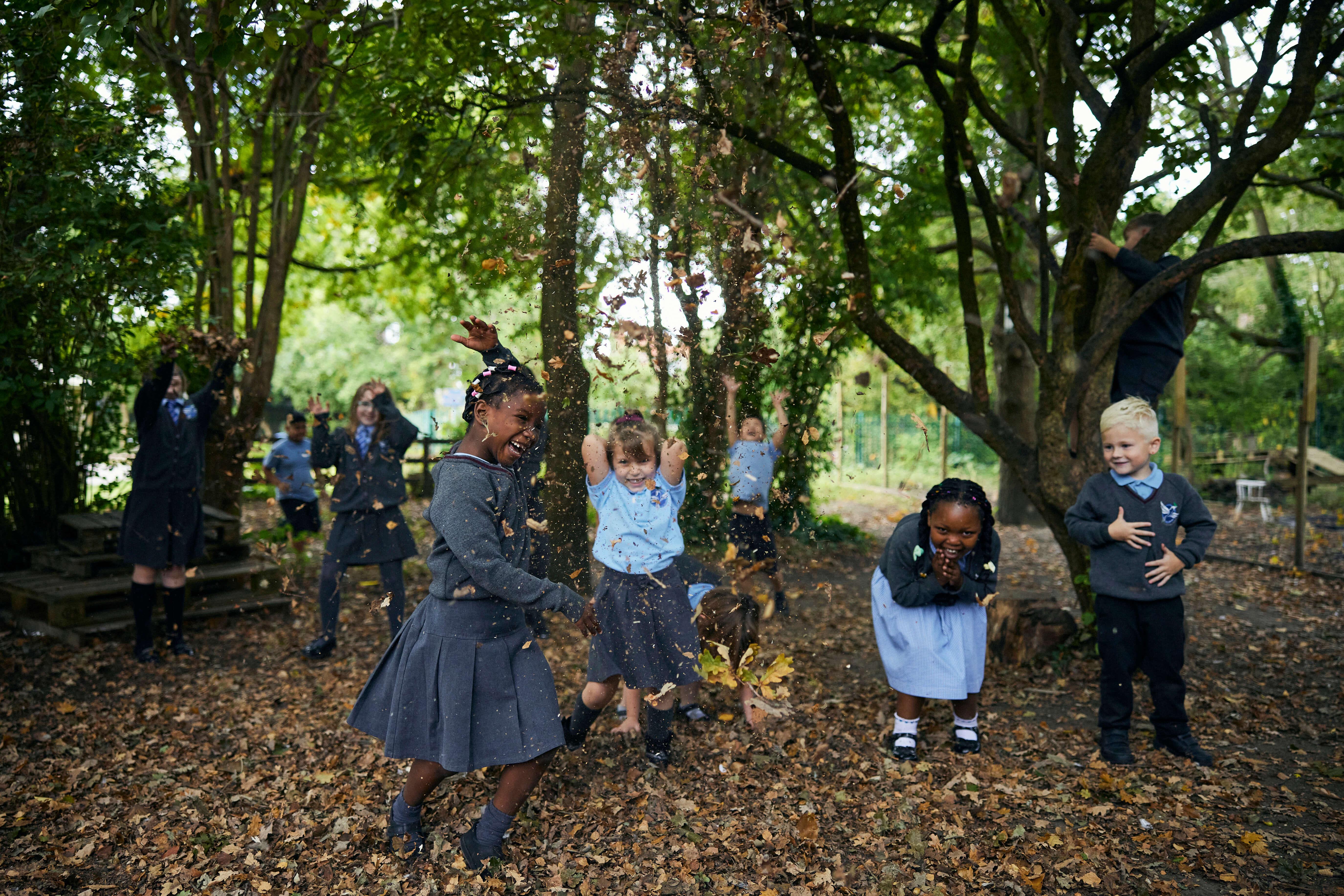 1906b61b-4e07-4df0-b063-12cc1c5666cd